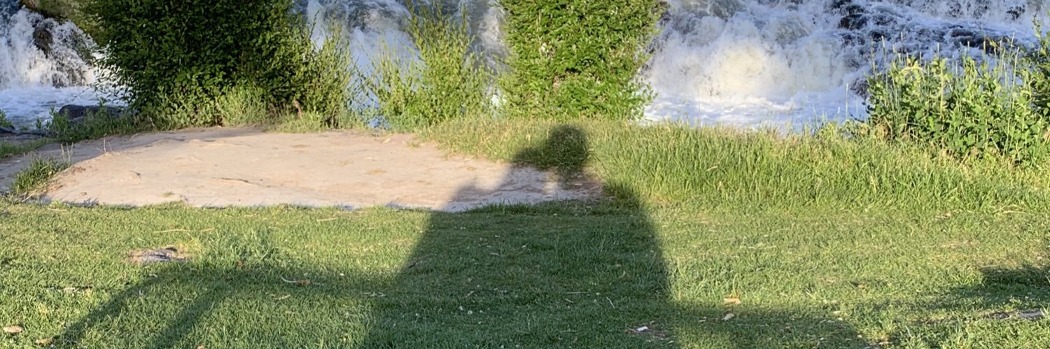 bnav22's profile banner image