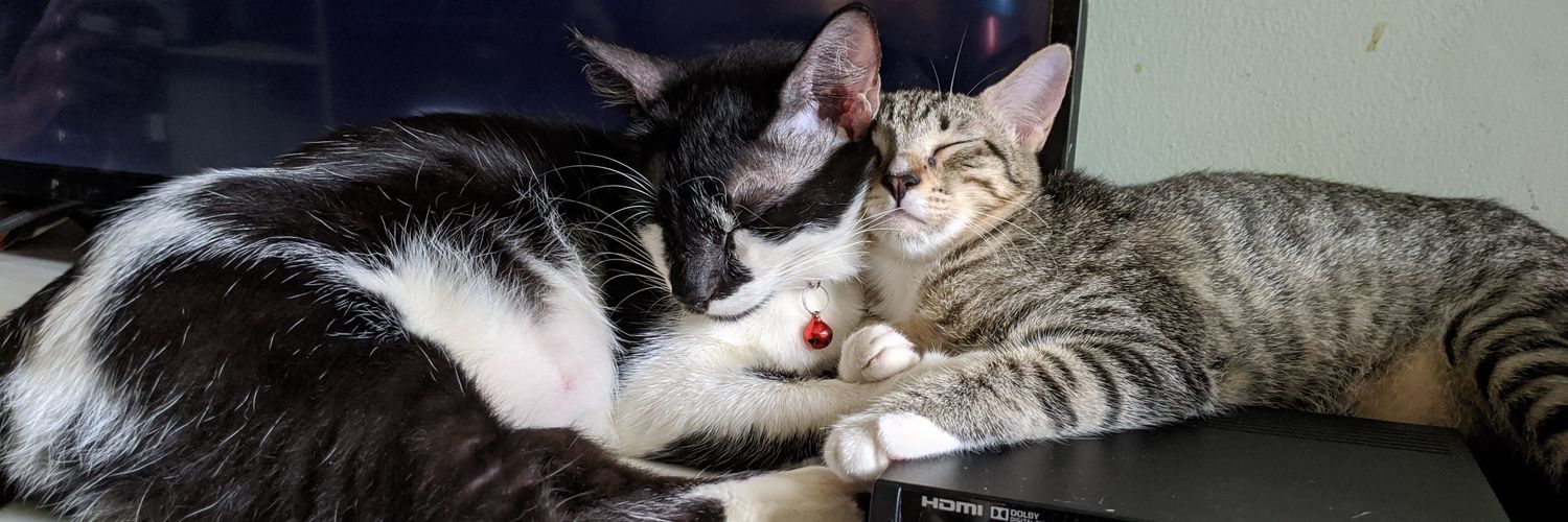 bund for bundar banner