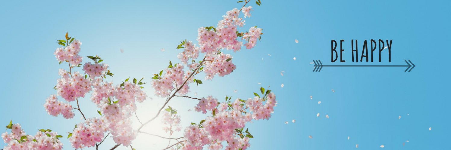 becca2238's profile banner image