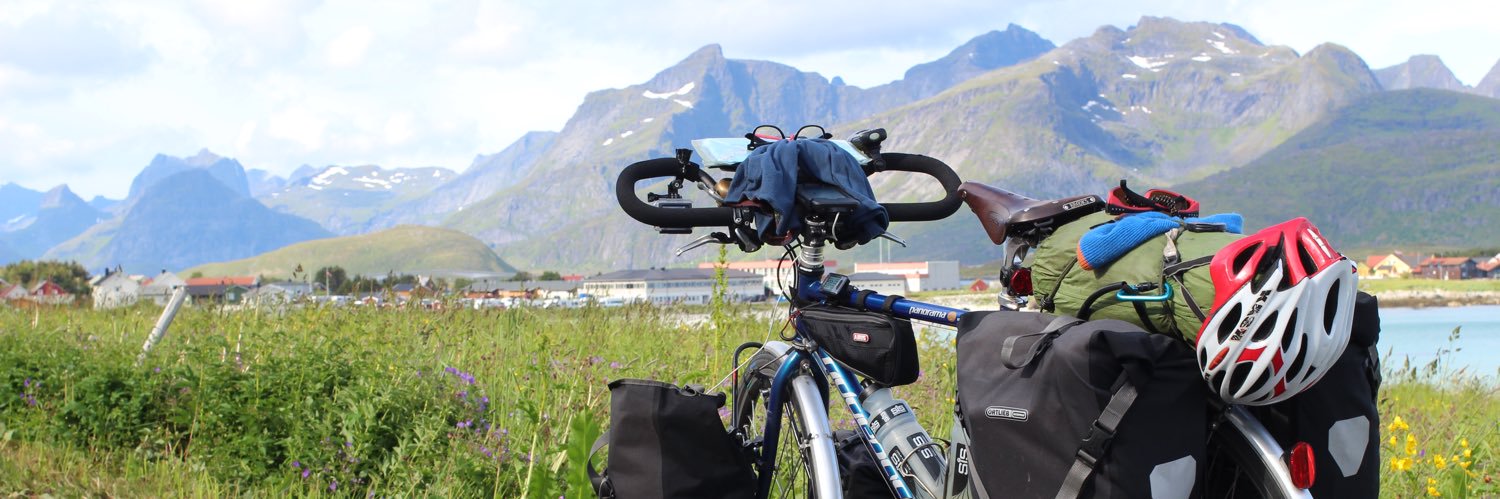 ReggieTheBike's profile banner image