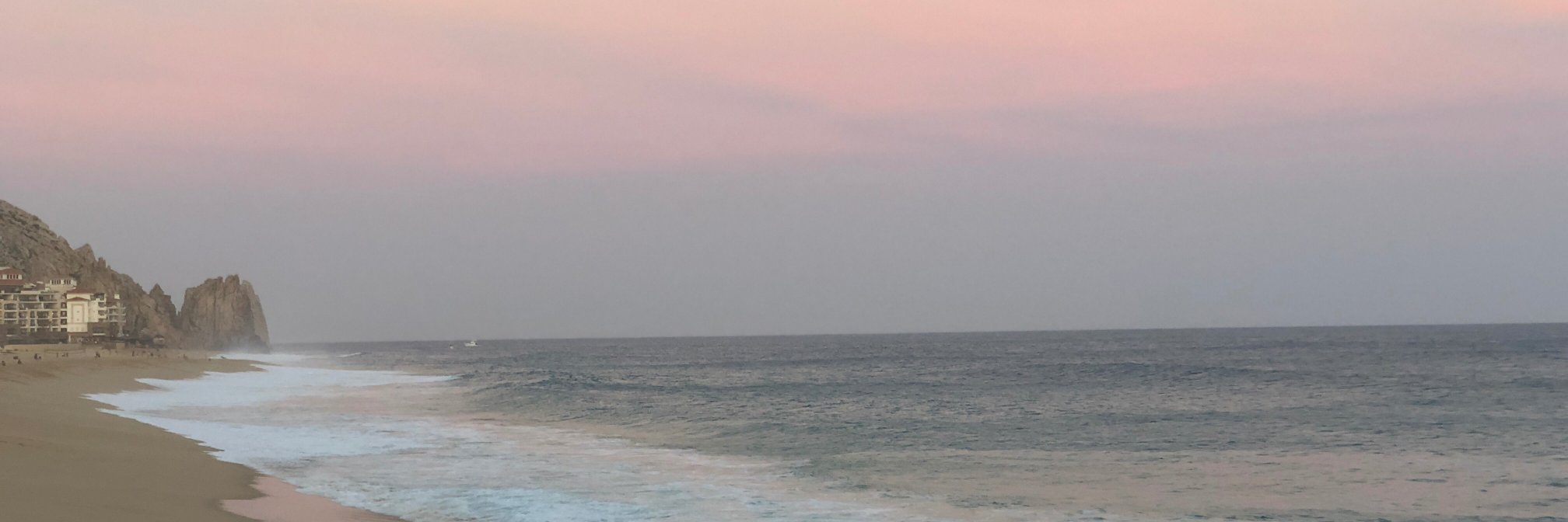 Ariana Barbour banner