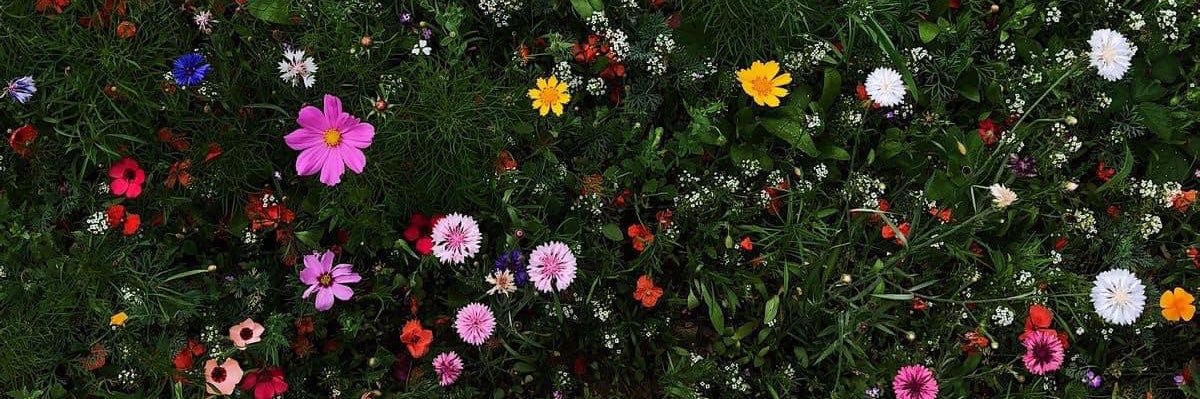 Nancy9827's profile banner image