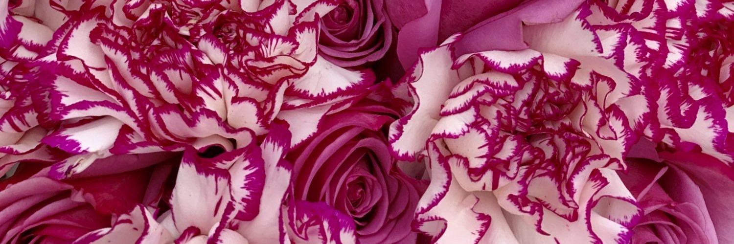 genaveann's profile banner image
