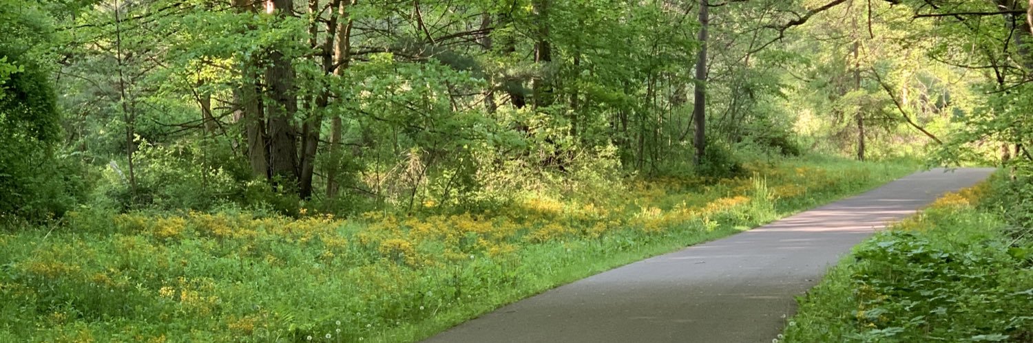 MGDos's profile banner image