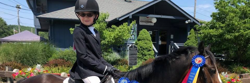 cort hessler banner