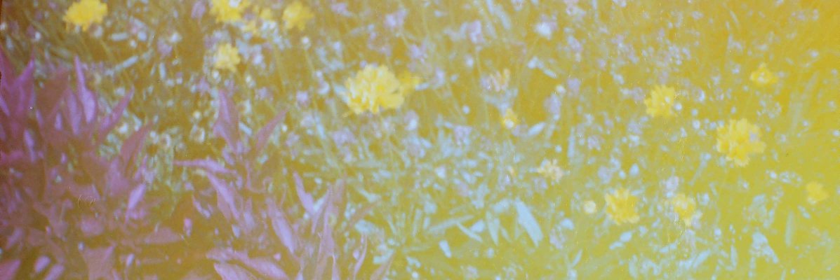 KishKoubov's profile banner image
