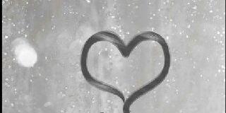 عبدالله الشمري banner