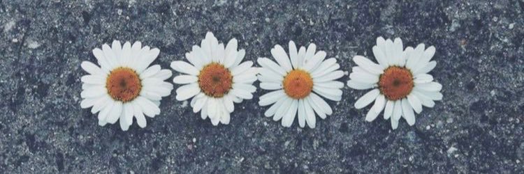 MackeyLeigh's profile banner image