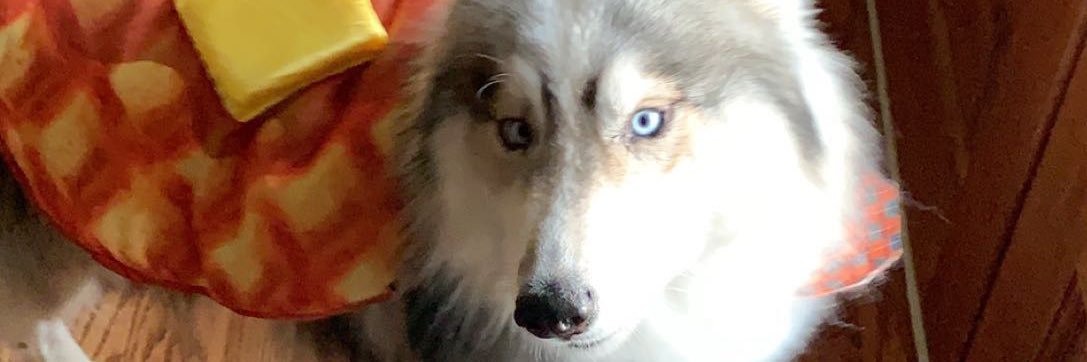 Samtmannn's profile banner image