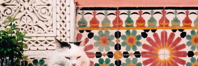quarrybug's profile banner image