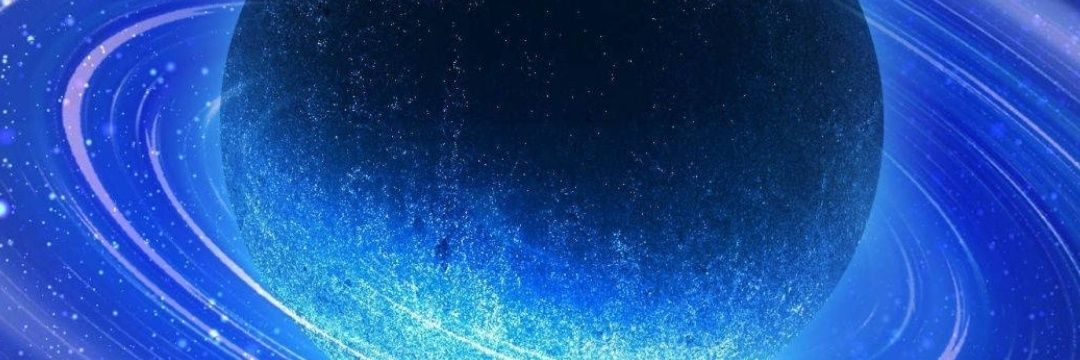 BoxerZoe's profile banner image