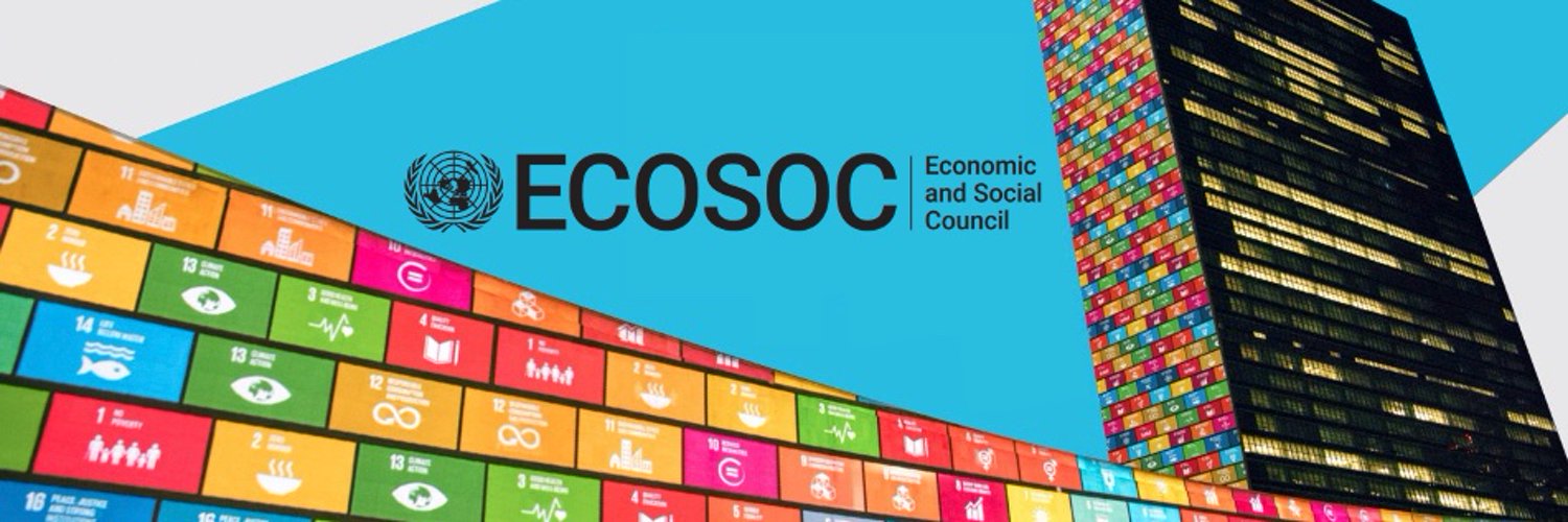 UN ECOSOC President Profile Banner