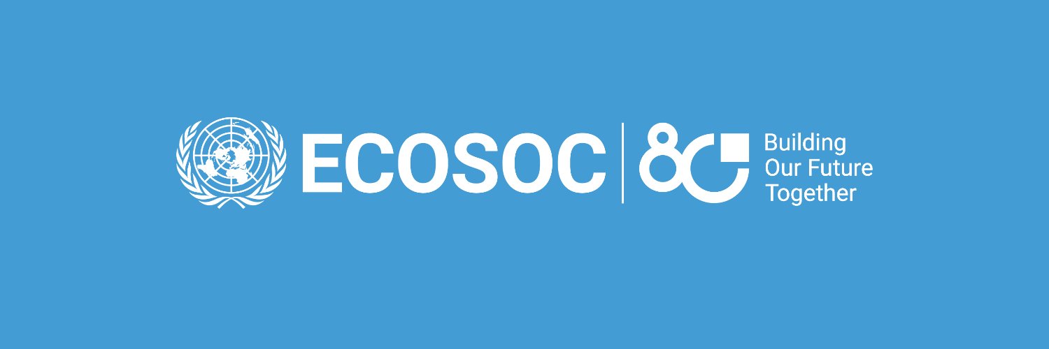UN ECOSOC President banner