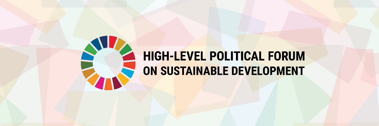 UN ECOSOC President banner
