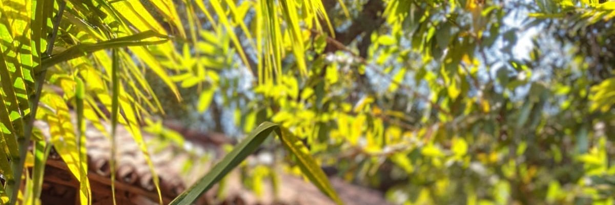 thisismikien's profile banner image