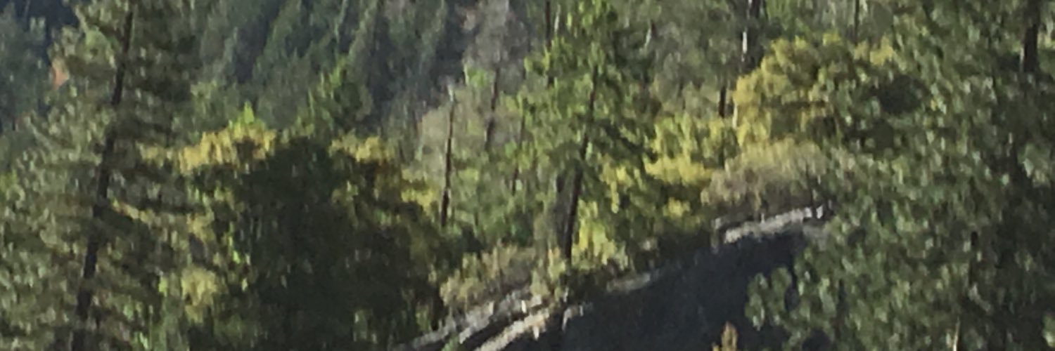 SSTW2's profile banner image