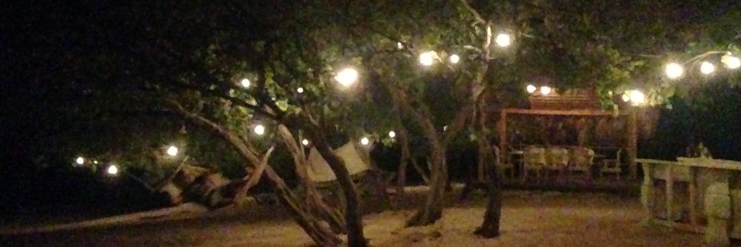 altaco10's profile banner image