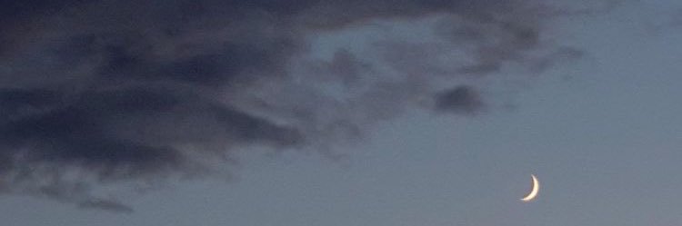MartaM_Qsd's profile banner image