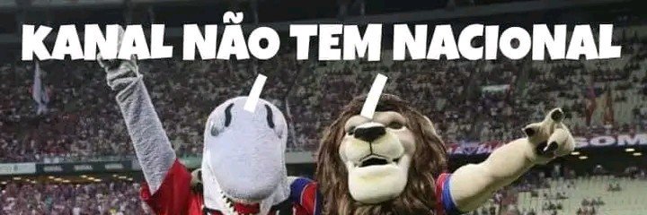 Raphael Santos banner