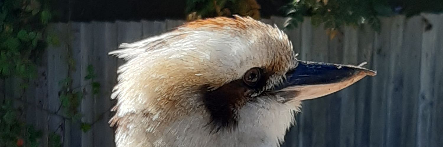 LordCovfefe's profile banner image