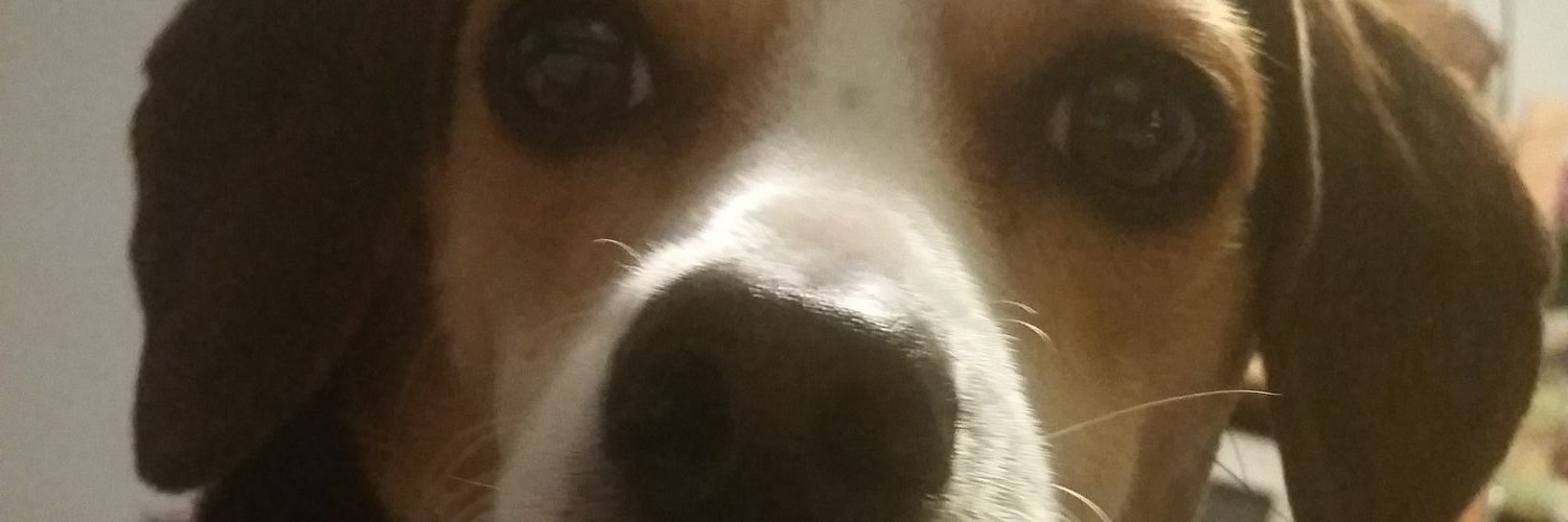 waltyinfirst's banner