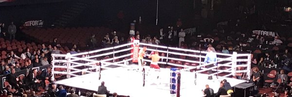 pugboxing Profile Banner