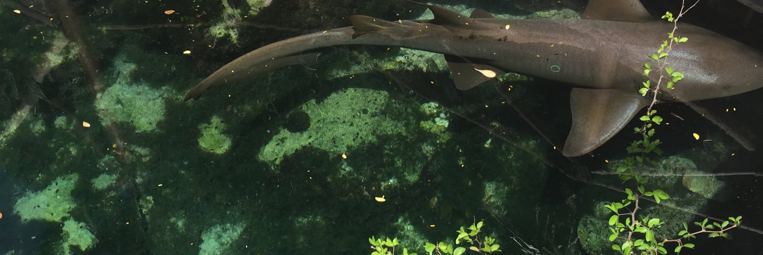 DanterodriguezL's profile banner image