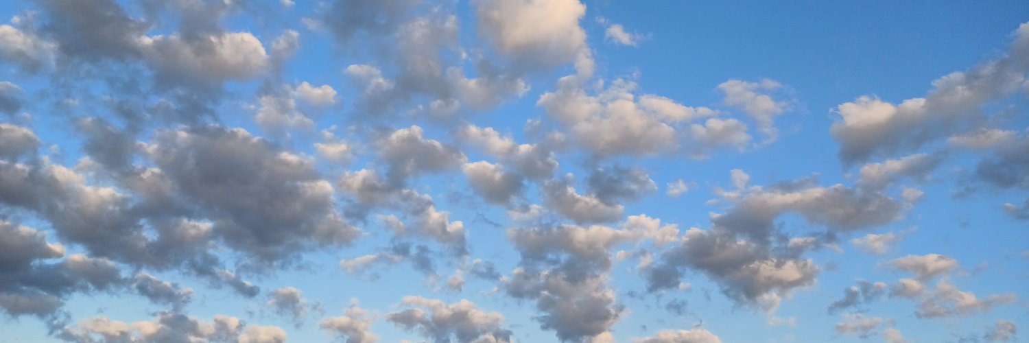 Pascal Morenton banner