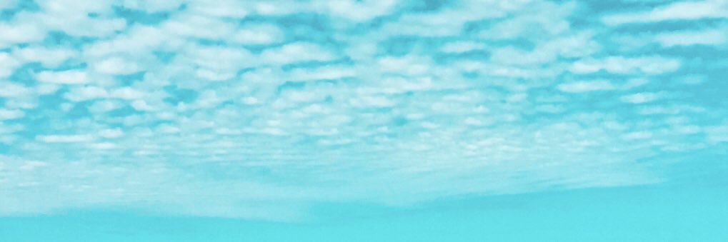 Chxsley's profile banner image