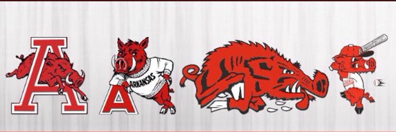 Ashton Robinson 🐗🦆🎲🃏 banner