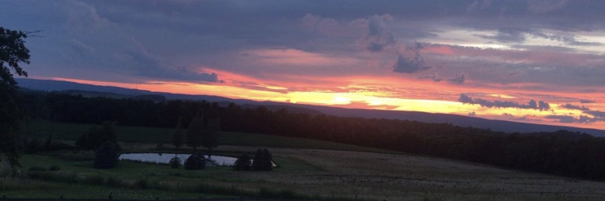 Kelly McMahan banner