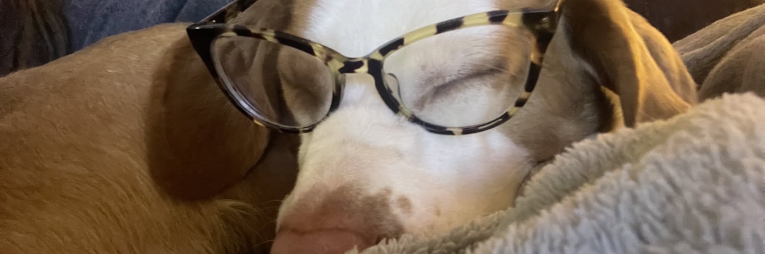 GoodNufTigerMom's profile banner image