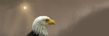 Bozlink's profile banner image