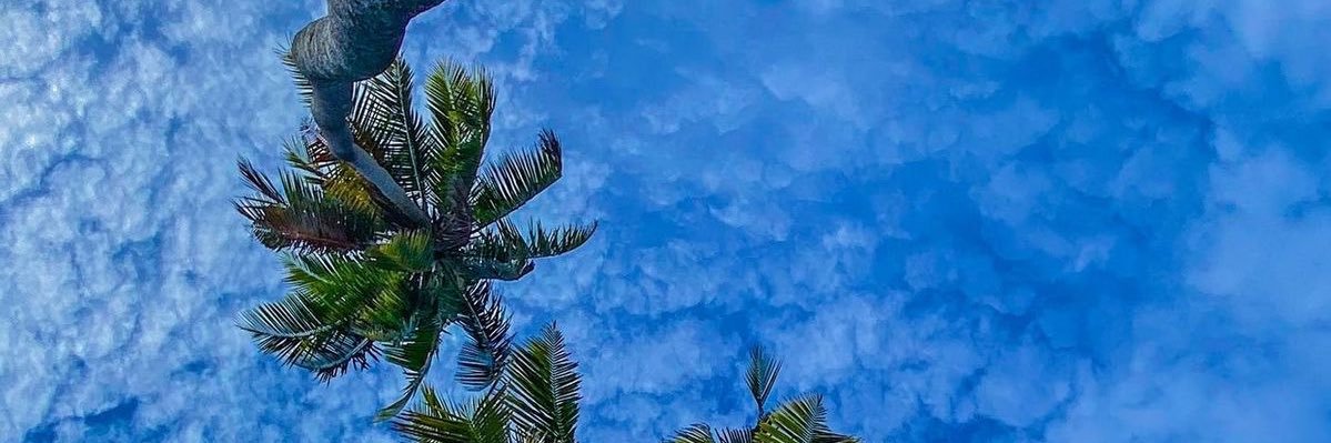 _gynifer's profile banner image