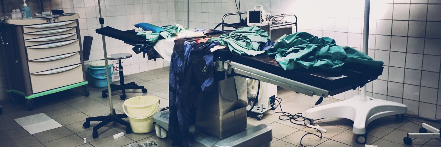 Monica Thallinger banner