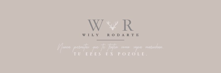 WilyRodarte's profile banner image