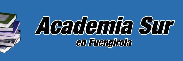 ACADEMIA SUR banner