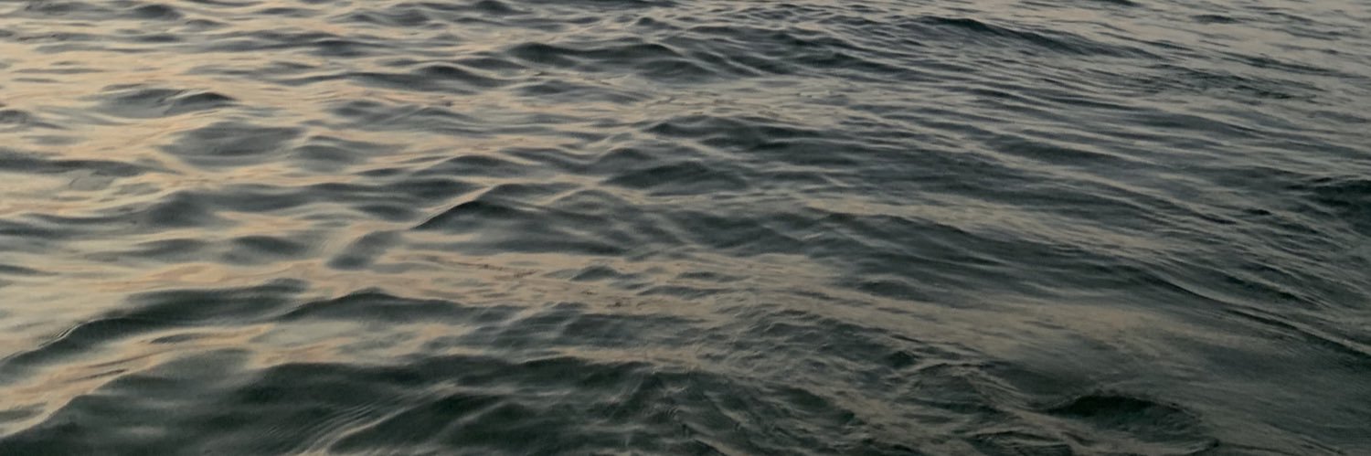 Rocío🌿🪜 banner