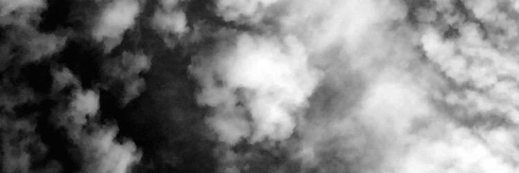hollyhicks37's profile banner image
