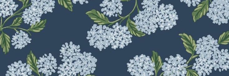 Jennifer Johnson banner