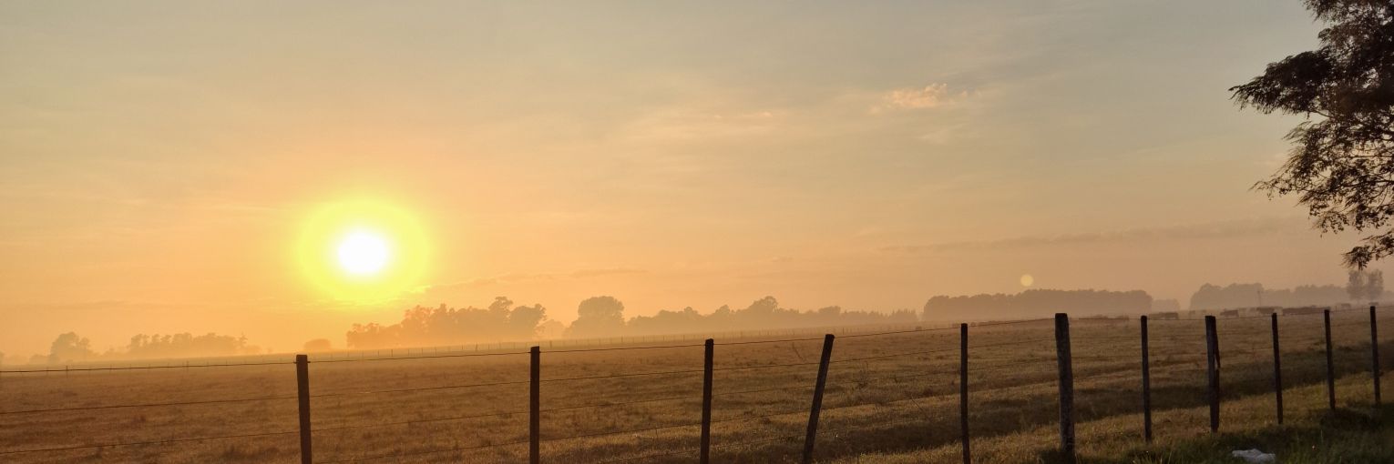 Mailenaranda2's profile banner image