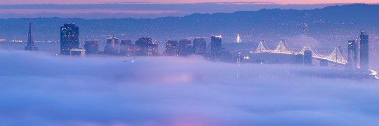 xayneh's profile banner image