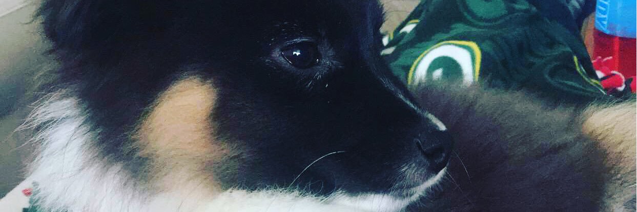 schoelbr's profile banner image