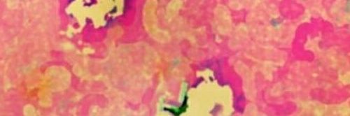 colindarling's profile banner image
