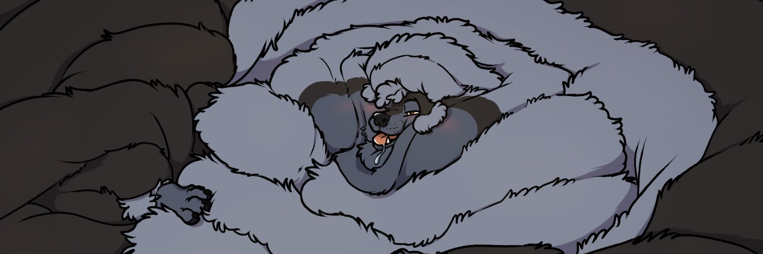 Collin the Poodle banner