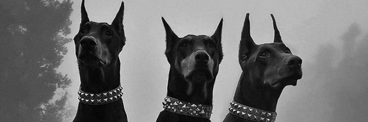 Thecloudcrown's profile banner image
