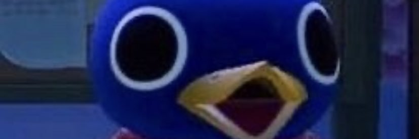 Daniel Marcillo banner