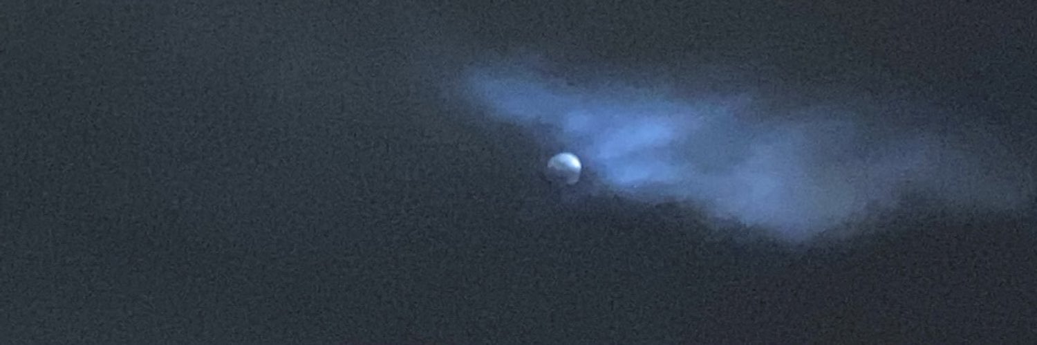 sillypunz's profile banner image