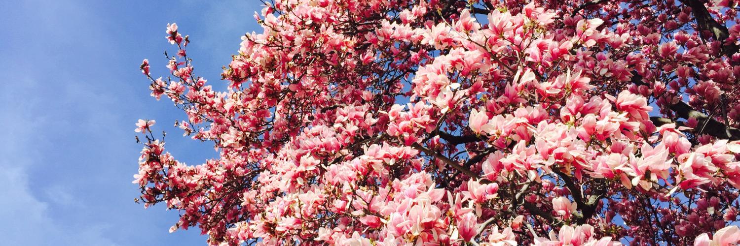 Paige Fremder banner