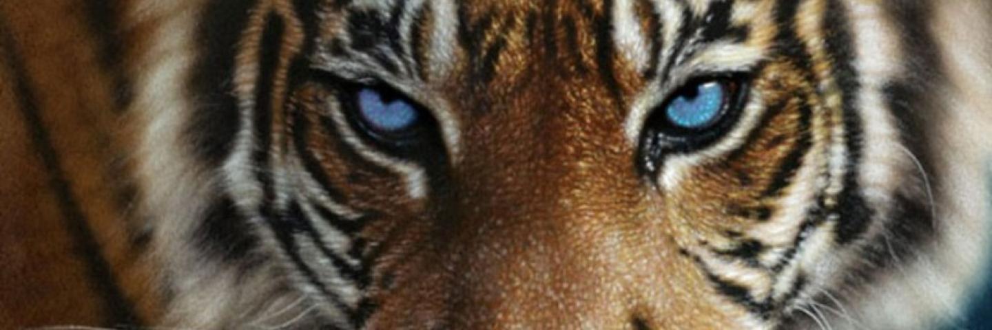 MDyanX's profile banner image